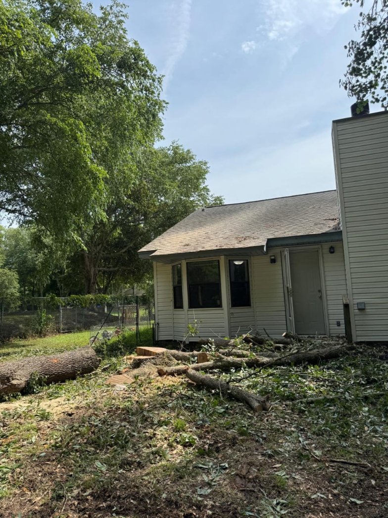 Lion Tree Service and Landscaping LLC project photo 17